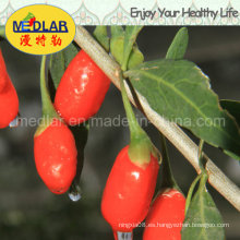 Medlar Goji Berry Wolfberry Cuidado de la piel